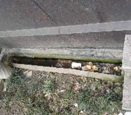 社區病媒生物防製要點